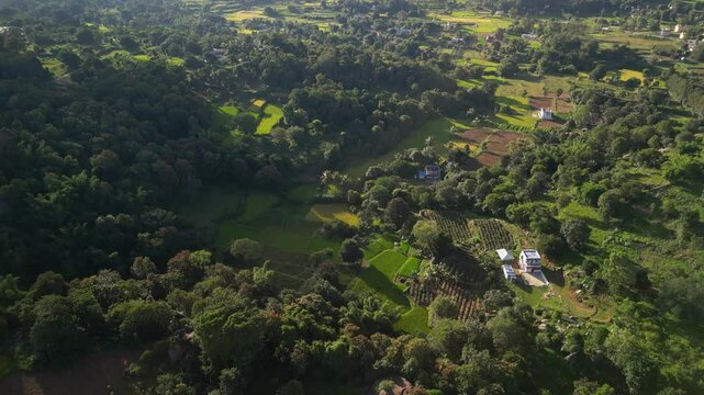 yelagiri hills